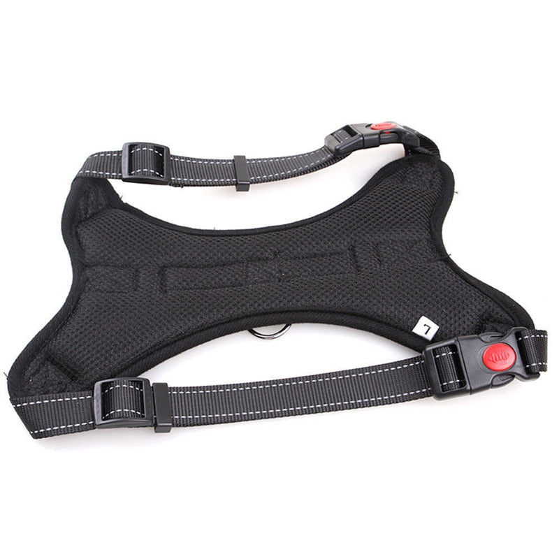 Personalized NO-PULL Harness