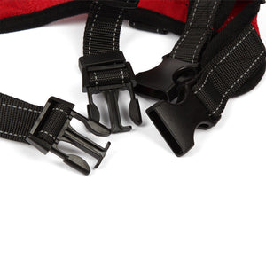 Personalized NO-PULL Harness