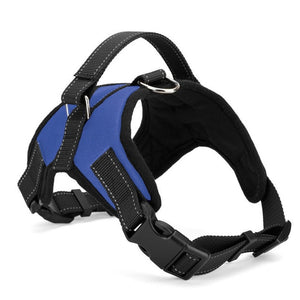 Personalized NO-PULL Harness