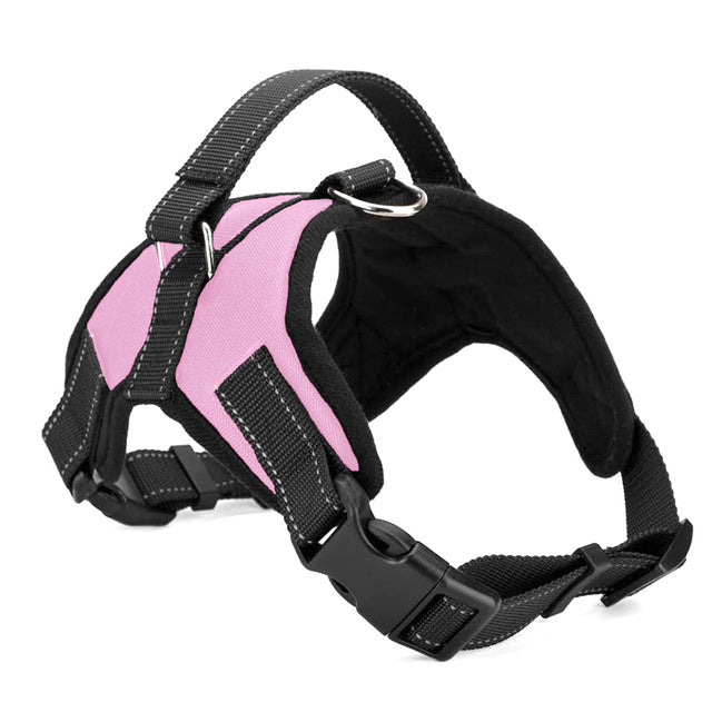 Personalized NO-PULL Harness